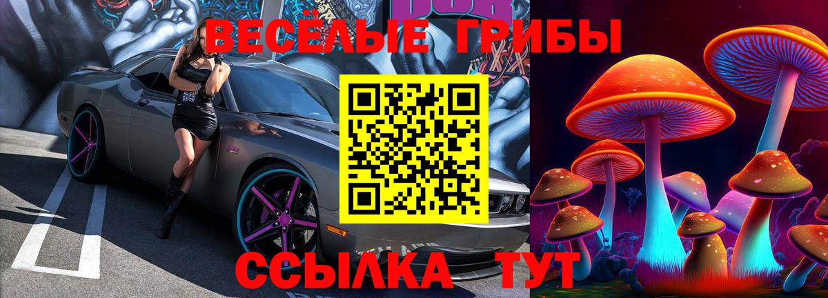 Псилоцибиновые грибы GOLDEN TEACHER  Вход с VPN  Саратов  Псилоцибиновые грибы GOLDEN TEACHER 